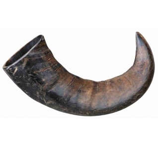 Trixie Buffalo Chewing Horn