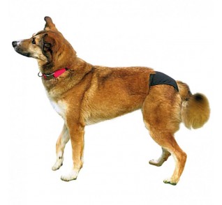 Trixie Protective Pants/Βρακάκι υγιεινής